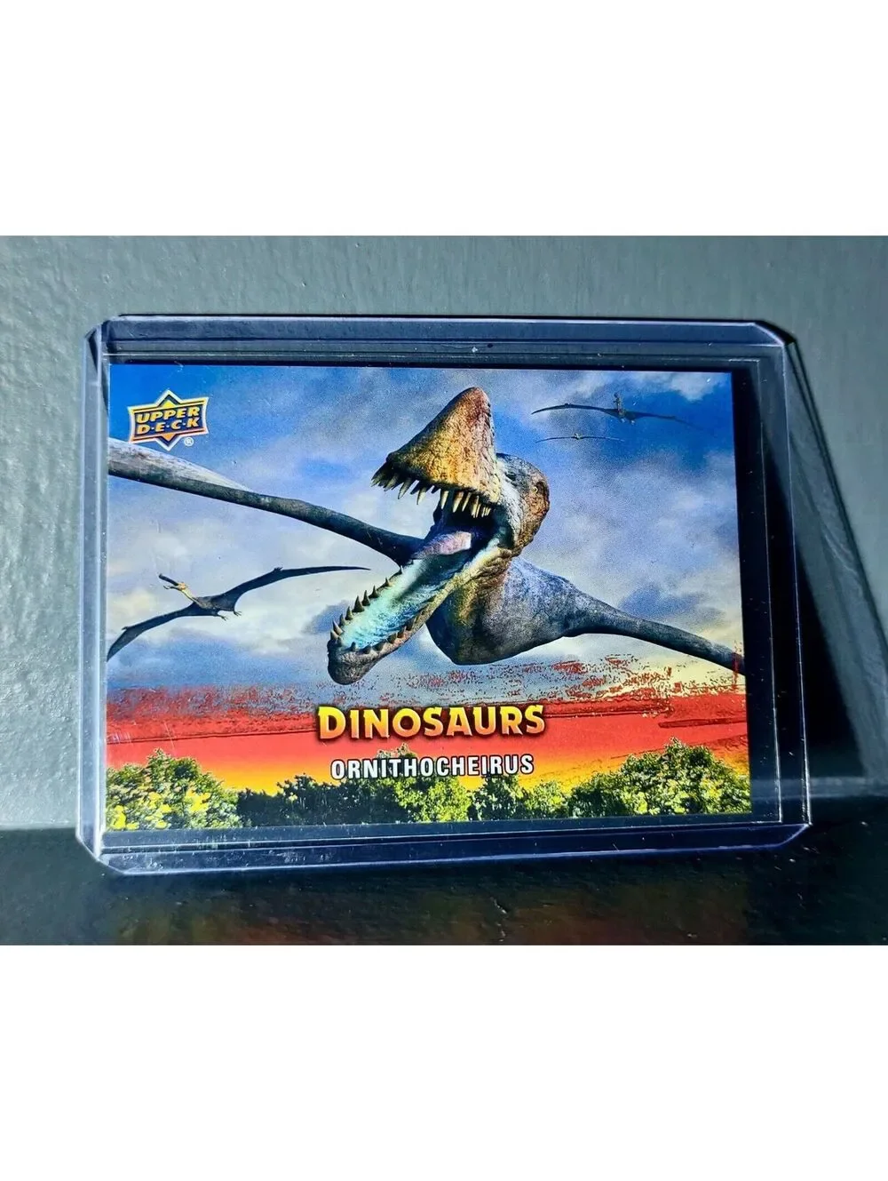 2015 Upper Deck Dinosaurs Ornithocheirus Extinction Red Parallel #36 Card